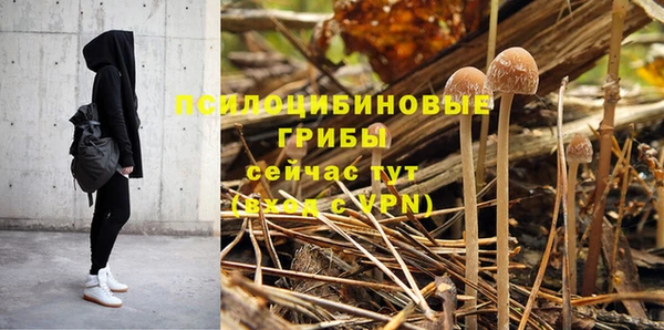 кристаллы Бородино