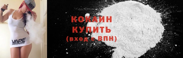 прущие грибы Бронницы
