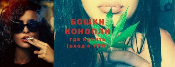 индика Верея