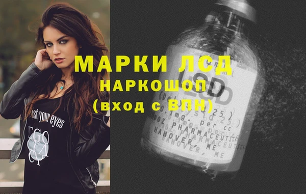 индика Верея