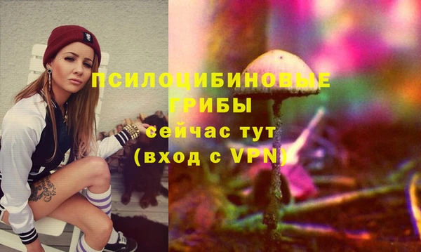 прущие грибы Бронницы