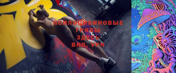 прущие грибы Бронницы