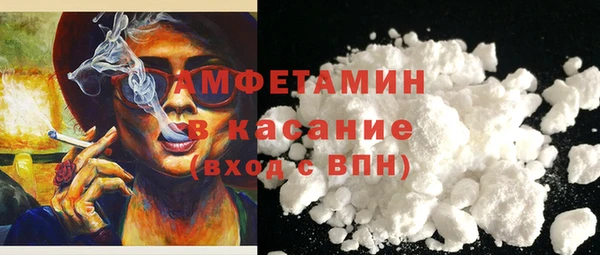 прущие грибы Бронницы