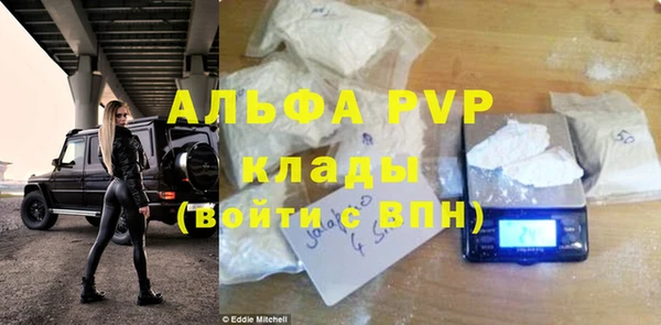 индика Верея
