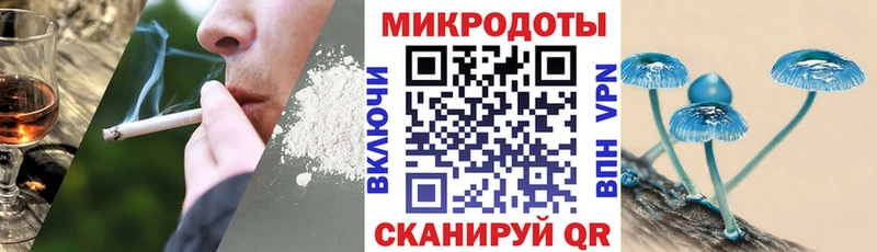 Псилоцибиновые грибы прущие грибы Волосово